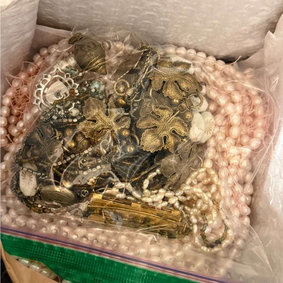 Ivy - Picture 2 of 15